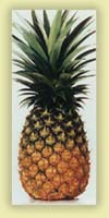 pineapple